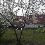 Апартаменты Plitzner Belvarosi Apartmanhaz *
