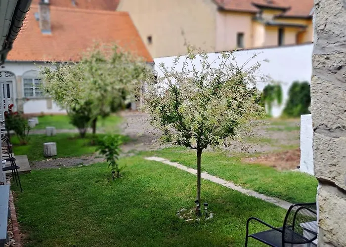 Plitzner Belvarosi Apartmanhaz Eğri