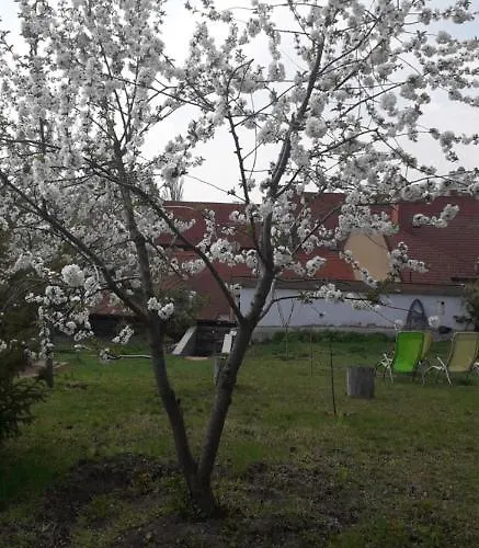 Daire Plitzner Belvarosi Apartmanhaz *