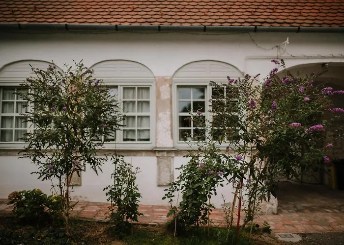 Plitzner Belvarosi Apartmanhaz Daire *