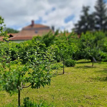 Plitzner Belvárosi Appartamento