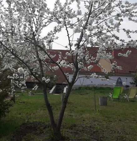 Appartement Plitzner Belvarosi Apartmanhaz *